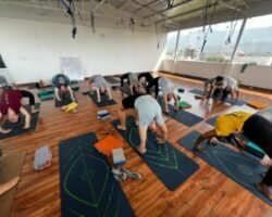 Hatha Yoga Hatha Yoga